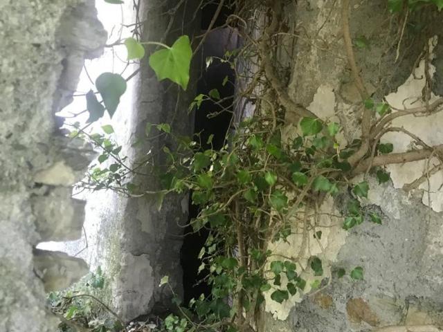 Rustico in vendita a Sant'olcese, Liguria