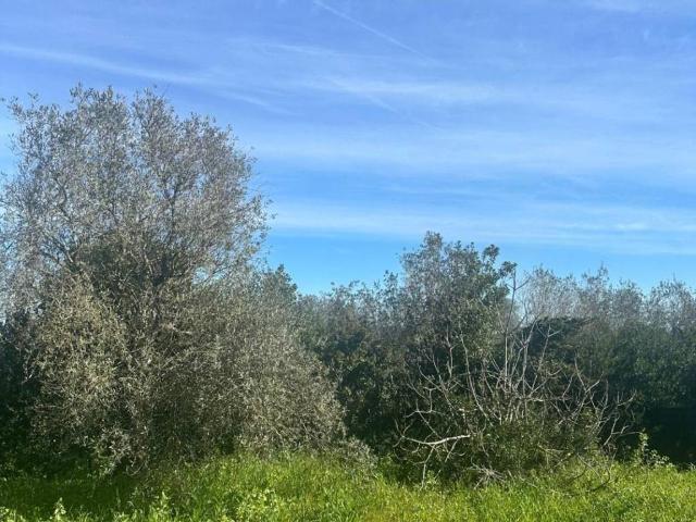 Rustico in vendita a San Giovanni, Cala Di Volpe