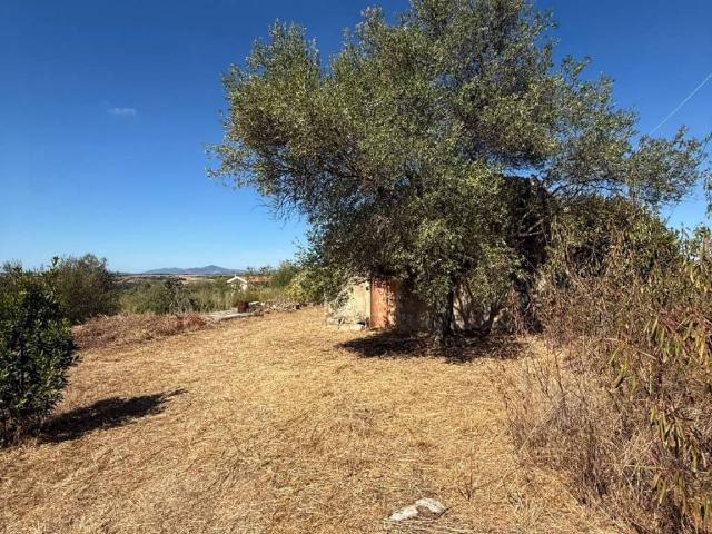 Rustico in vendita a Cala Di Volpe, Sardigna/Sardegna