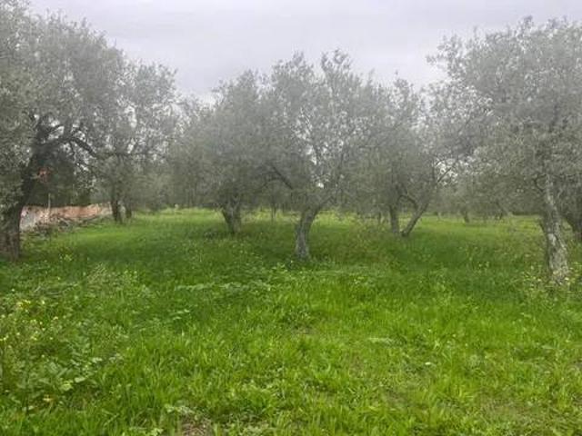 Rustico in vendita a Cala Di Volpe, Sardigna/Sardegna