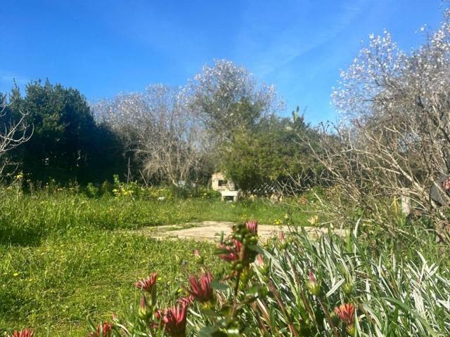 Rustico in vendita a San Giovanni, Cala Di Volpe