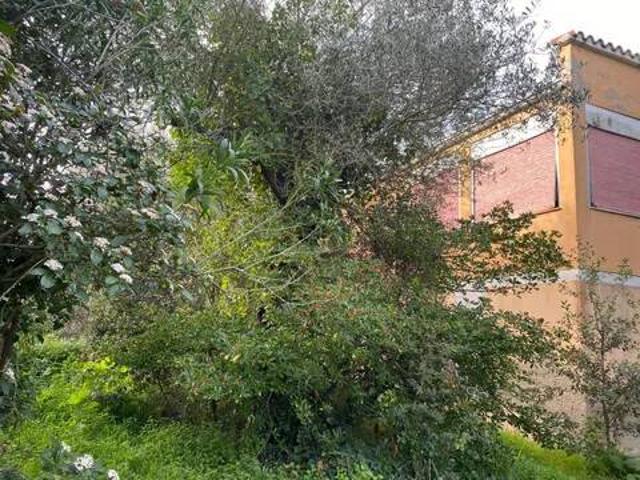 Rustico in vendita a Carbonazzi, Cala Di Volpe