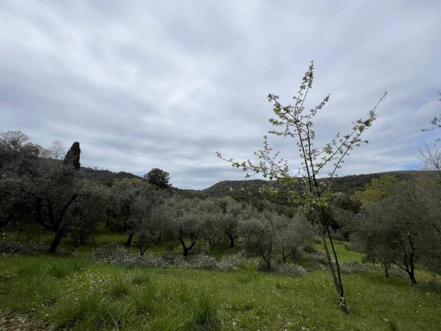 Rustico in vendita a Sassetta, Toscana
