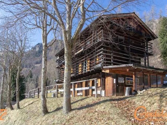 Rustico in vendita a Sauris, Friuli-Venezia Giulia