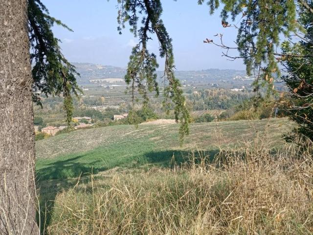 Rustico in vendita a Unione di comuni Terre di Castelli, Savignano Sul Panaro
