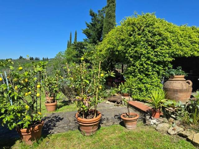 Rustico in vendita a Colleramole, Impruneta