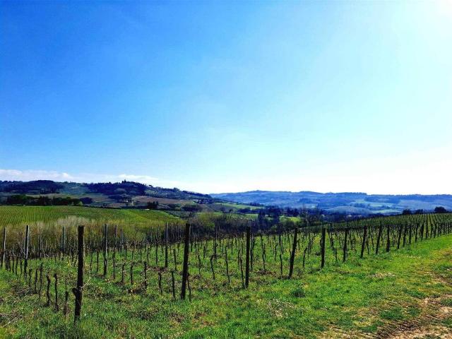 Rustico in vendita a Castellare, Scandicci