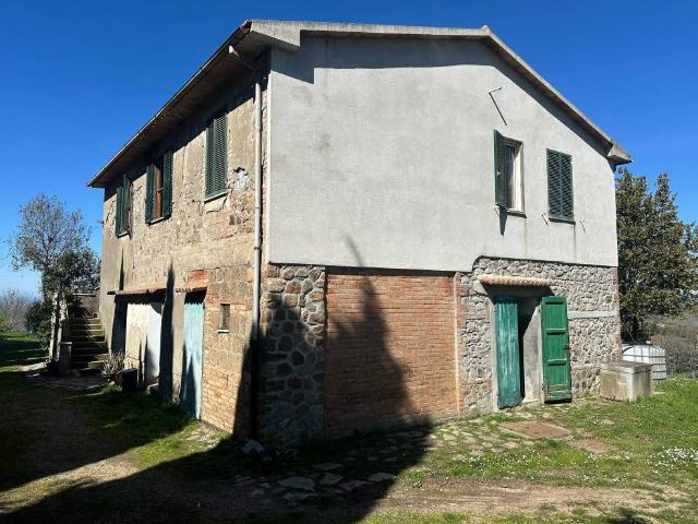 Rustico in vendita a Scansano, Toscana