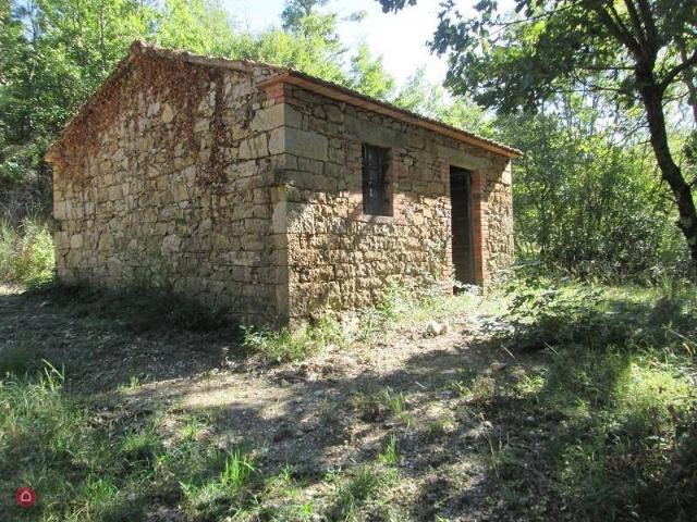 Rustico in vendita a Scansano, Toscana