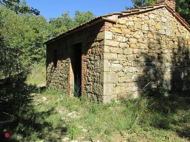 Rustico in vendita a Scansano, Toscana