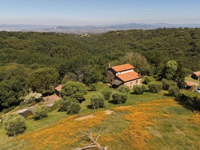 Rustico in vendita a Scansano, Grosseto