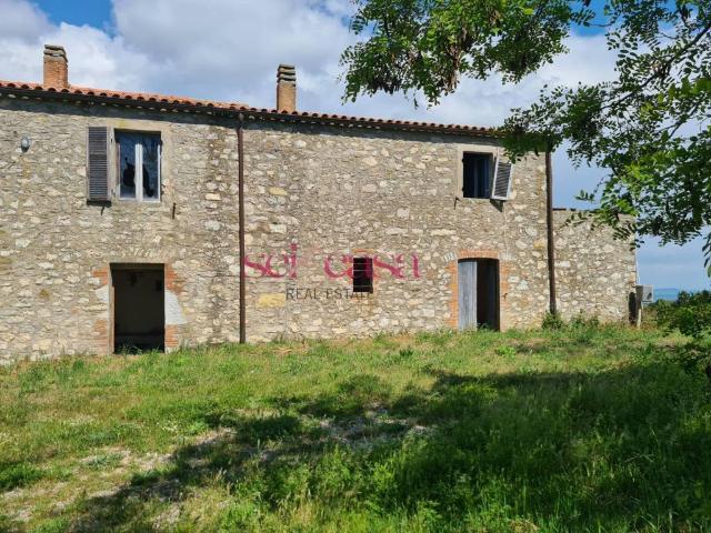 Rustico in vendita a Scansano, Toscana
