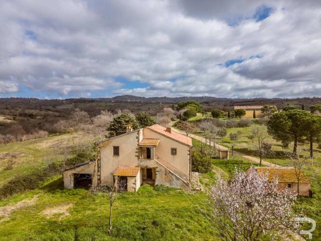 Rustico in vendita a Scansano, Toscana