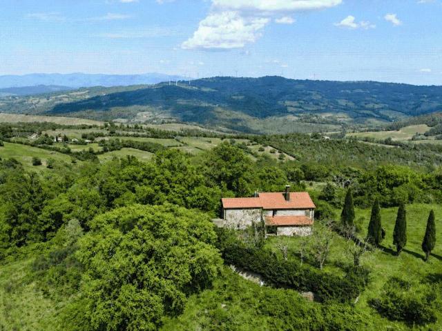 Rustico in vendita a Scansano, Toscana