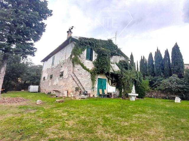 Rustico in vendita a Scansano, Toscana
