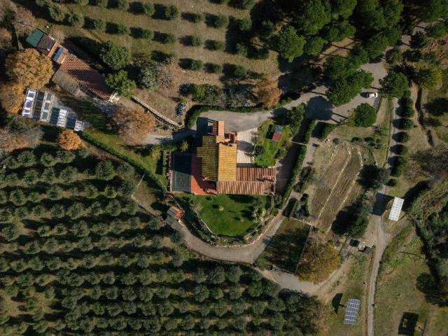 Rustico in vendita a Scansano, Grosseto