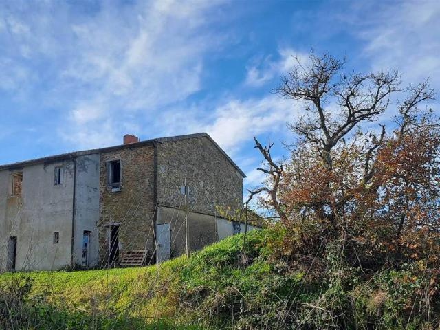Rustico in vendita a Scansano, Toscana