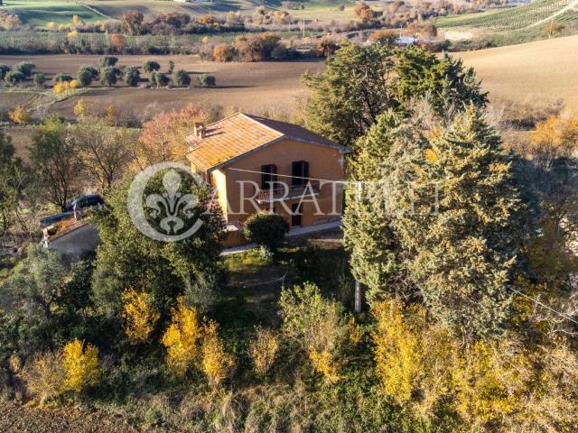 Rustico in vendita a Scansano, Toscana