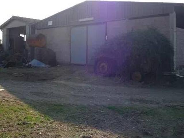 Rustico in vendita a Scansano, Grosseto
