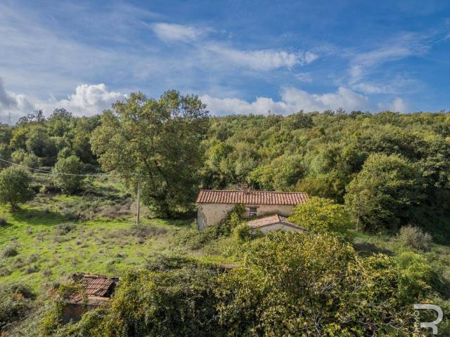 Rustico in vendita a Scansano, Toscana