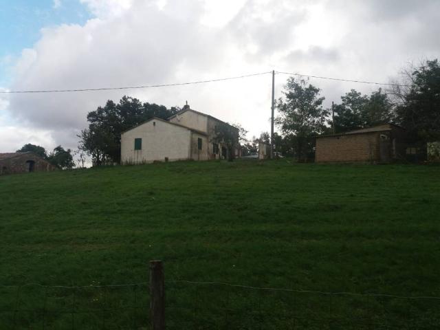 Rustico in vendita a Scansano, Toscana
