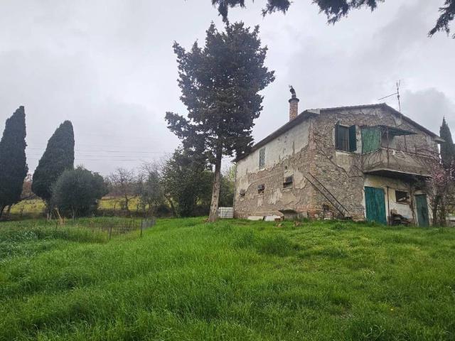 Rustico in vendita a Scansano, Toscana