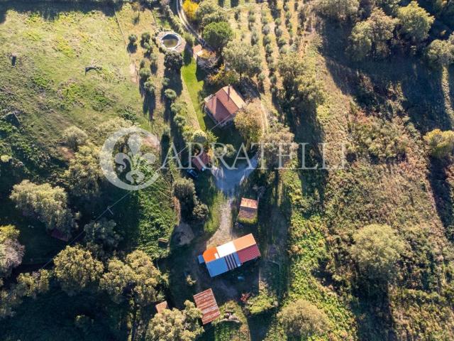 Rustico in vendita a Casa Bardi, Scansano