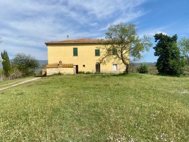 Rustico in vendita a Scansano, Toscana
