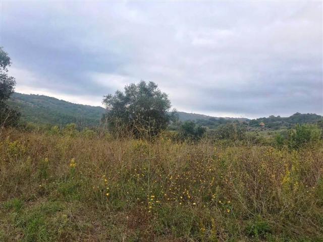 Rustico in vendita a Scansano, Toscana