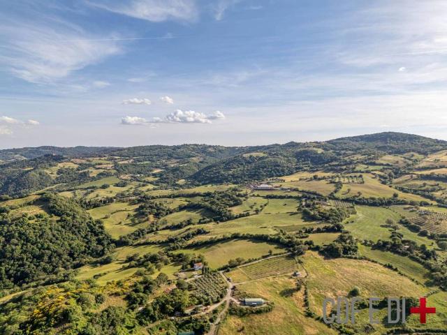 Rustico in vendita a Scansano, Toscana