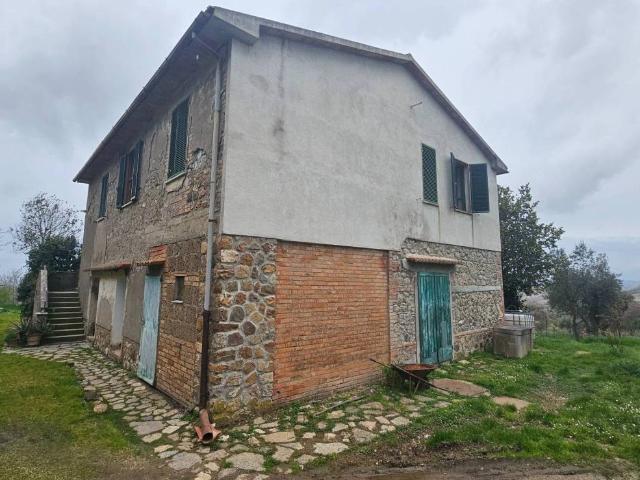 Rustico in vendita a Scansano, Toscana
