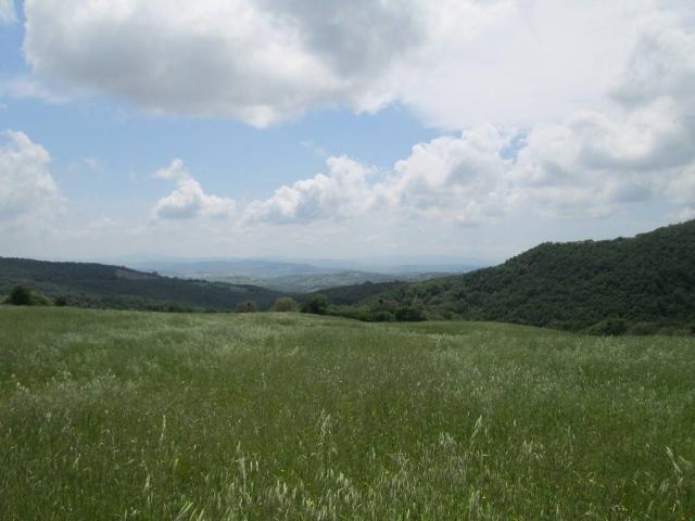 Rustico in vendita a Salaioli, Scansano