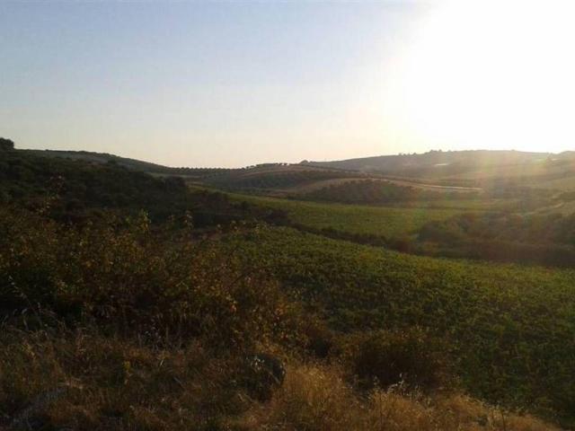 Rustico in vendita a Sciacca, Sicilia