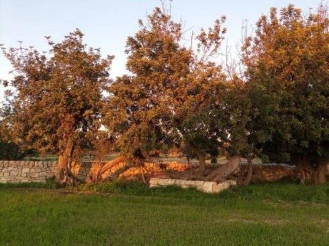 Rustico in vendita a Cava D'aliga, Sicilia