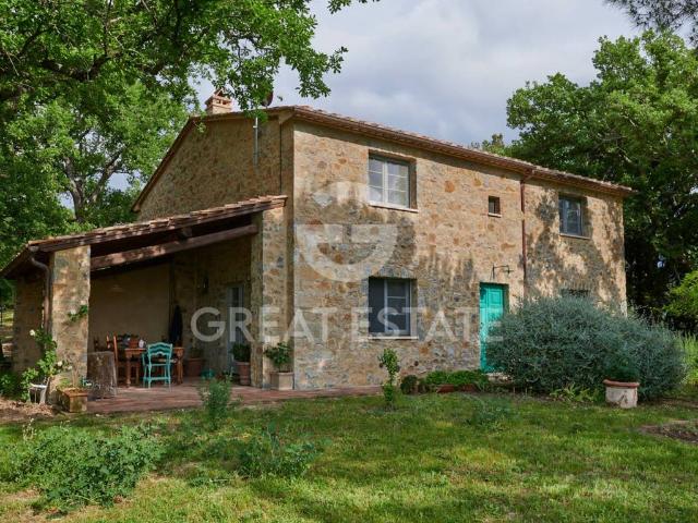 Rustico in vendita a Unione dei Comuni Montani Amiata Grossetana, Seggiano