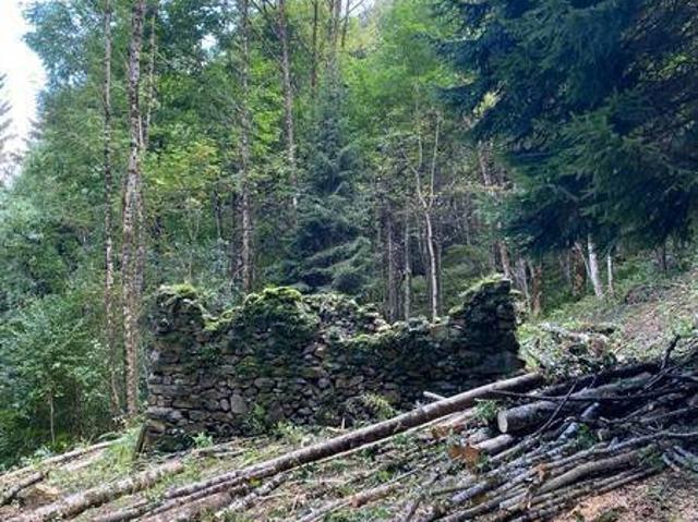 Rustico in vendita a Comunità delle Giudicarie, Lardaro