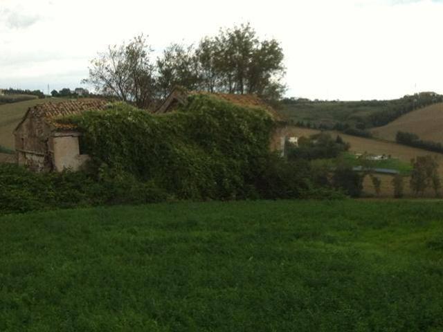 Rustico in vendita a Sant'Angelo, Marche