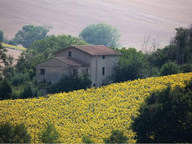 Rustico in vendita a Marche, Ancona