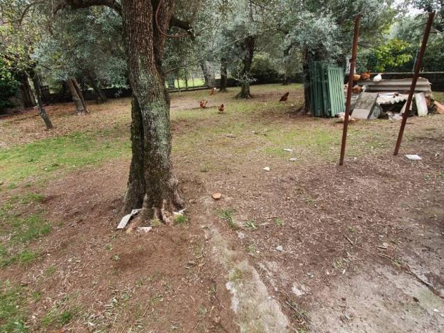 Rustico in vendita a Frasso, Seravezza
