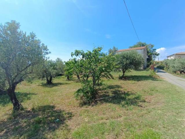 Rustico in vendita a Calabria, Catanzaro