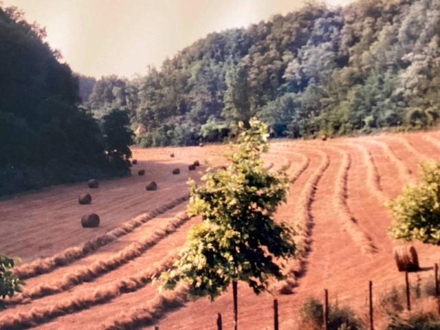 Rustico in vendita a Piemonte, Alessandria