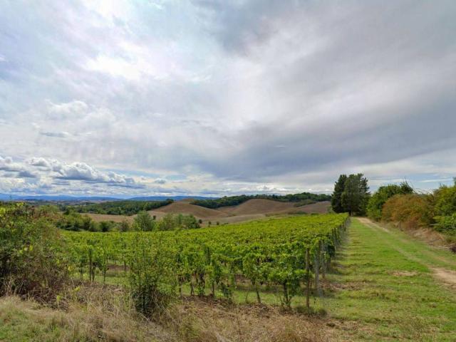 Rustico in vendita a Poggio alle Corti, Siena
