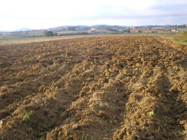 Rustico in vendita a Signa, Toscana