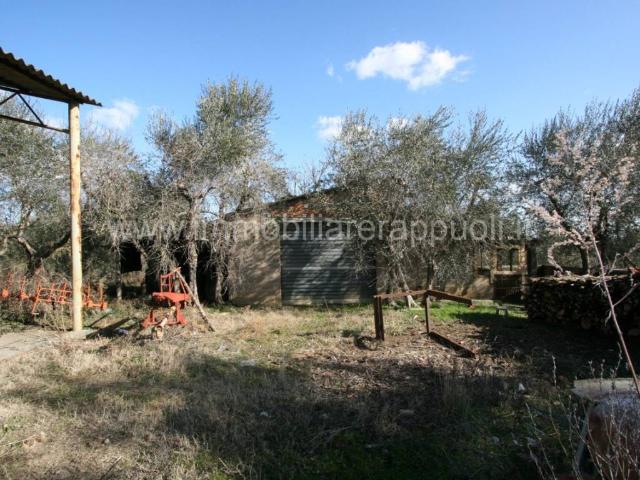 Rustico in vendita a Pieve Di Sinalunga, Toscana