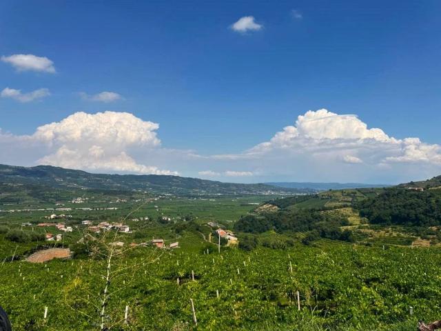 Rustico in vendita a Soave, Veneto