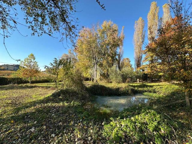 Rustico in vendita a Sona, Veneto