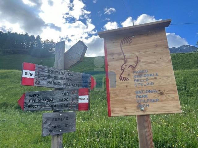 Rustico in vendita a Comunità montana Alta Valtellina, Sondalo