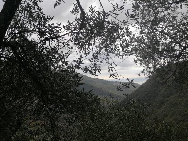 Rustico in vendita a Sori, Liguria