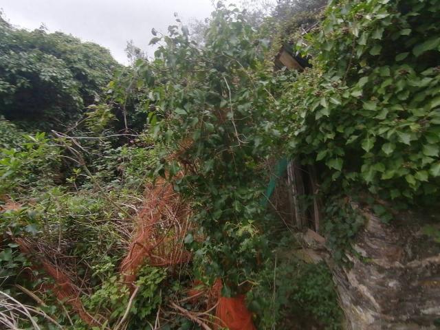 Rustico in vendita a Sori, Liguria