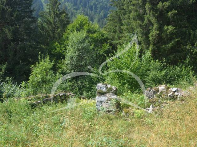 Rustico in vendita a Spiazzo, Provincia di Trento